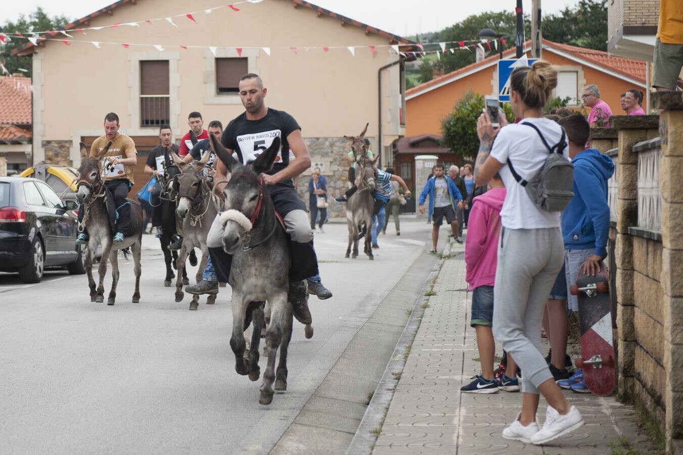 Doce burros compitieron en la tradicional carrera taniega