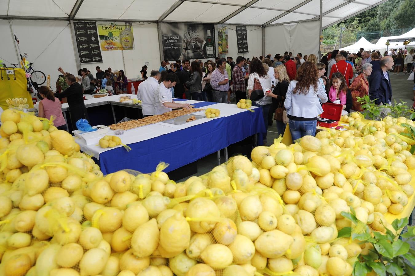 Fiesta de los limones solidarios de Novales