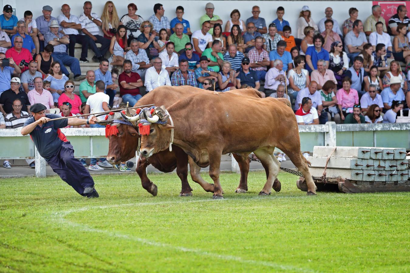 Celebración del Día de Cantabria en Cabezón de la Sal