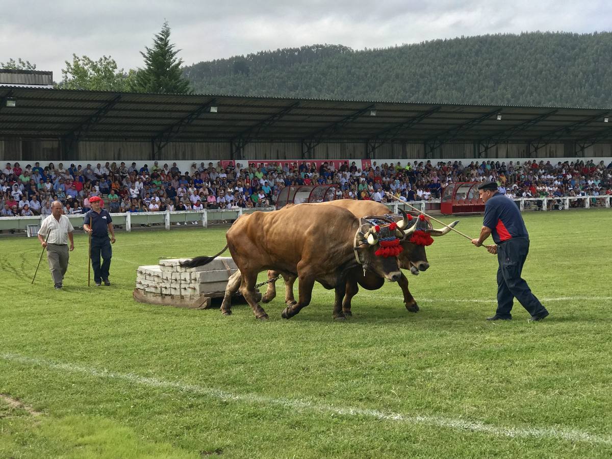 Celebración del Día de Cantabria en Cabezón de la Sal