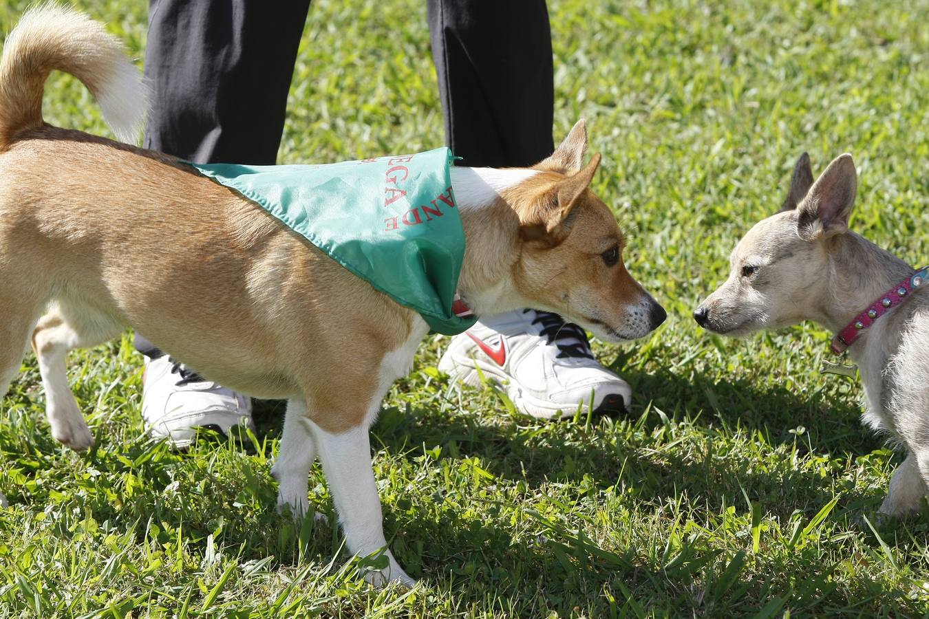 Una multitudinaria marcha