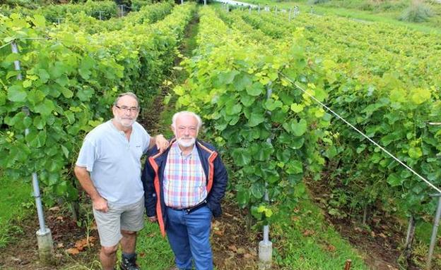 Ricardo Sierra y Juan Manuel Salinas en el viñedo La Mazuela. E. T.