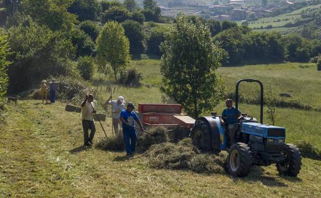 Trabajos que se desarrollan en un prado del pueblo de Tudanca con la ayuda de un tractor.