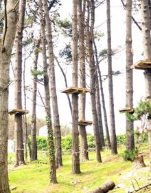 Imagen secundaria 2 - El ecoparque de Cabo Mayor incorporará ocho nuevos circuitos