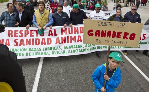 Ganaderos cántabros protestarán en Madrid contra los planes de control sanitario