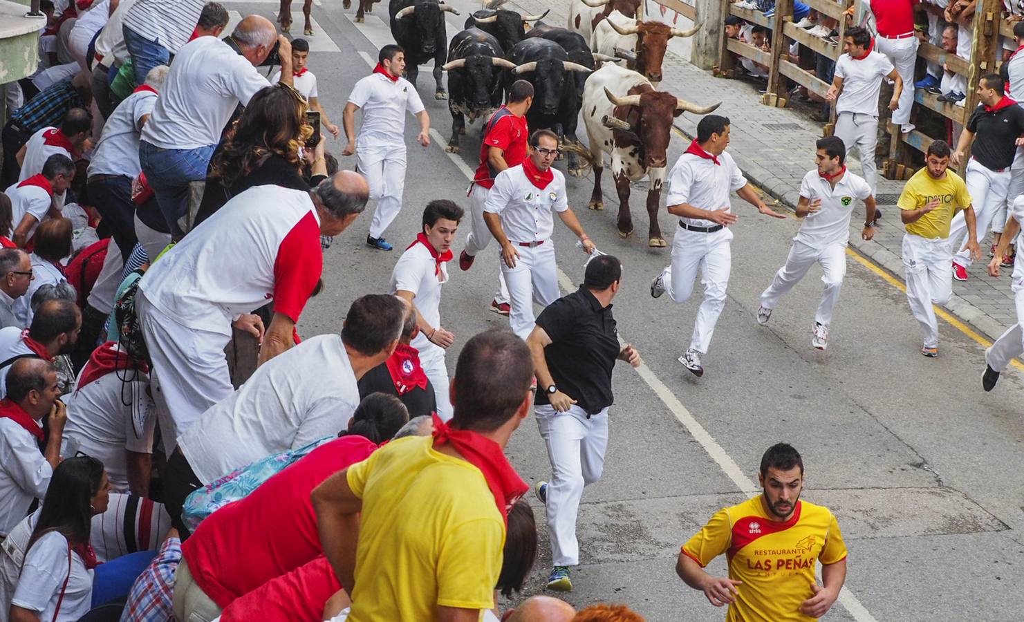  2,36 minutos ha tardado la manada en regresar al coso taurino, en una carrera que ha destacado por su rapidez, especialmente en la ida