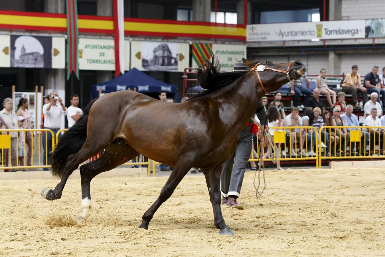 Imágenes de ediciones anteriores del Concurso Morfológico &#039;Ciudad de Torrelavega&#039;