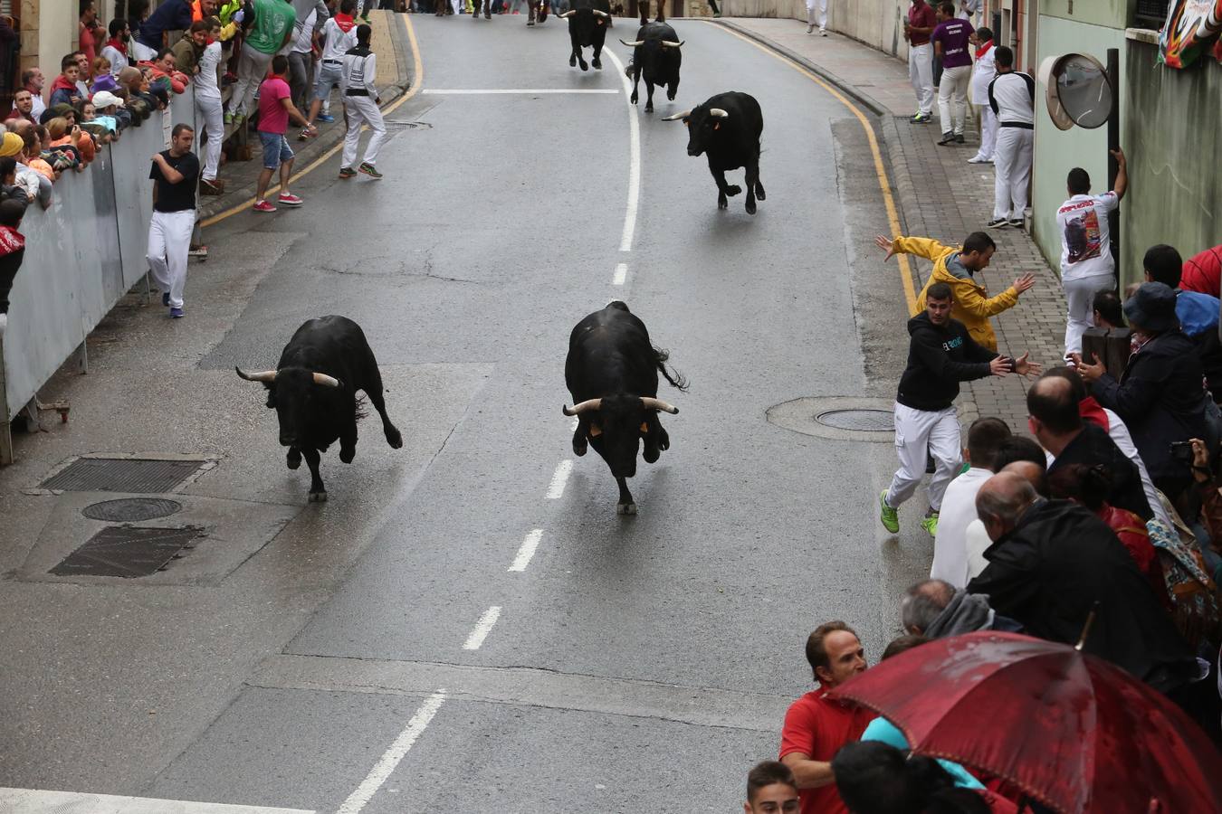 Encierros del domingo