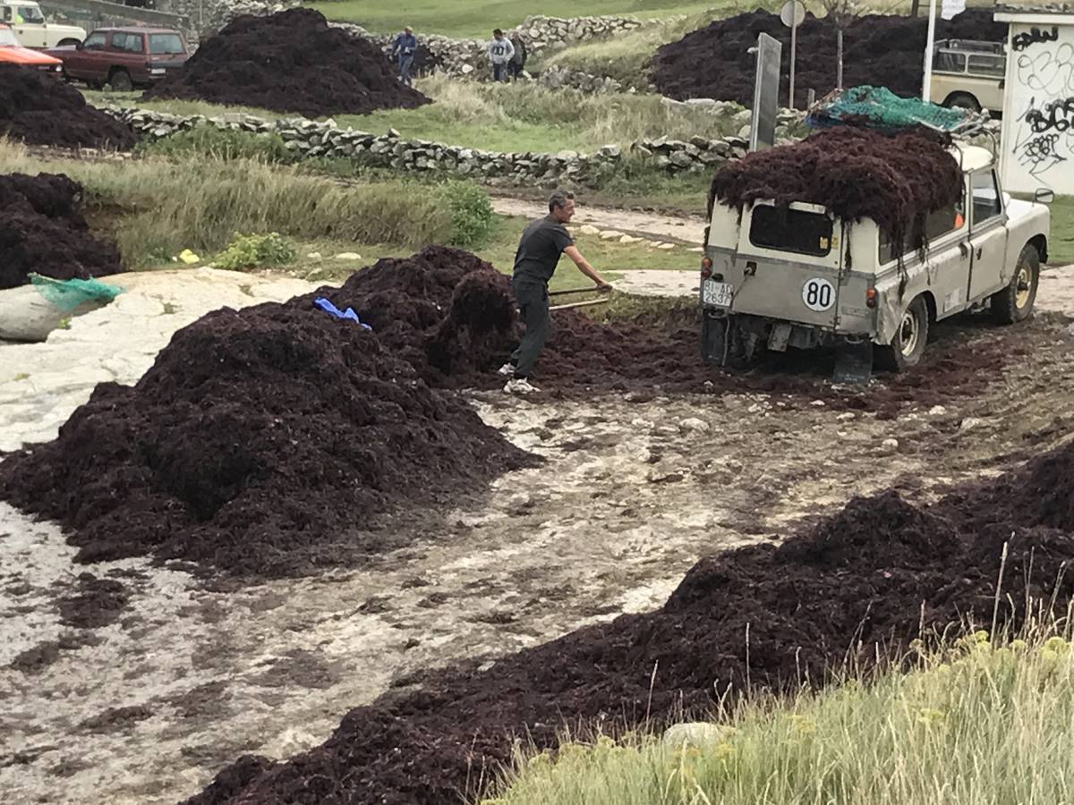 La caloca inunda la costa