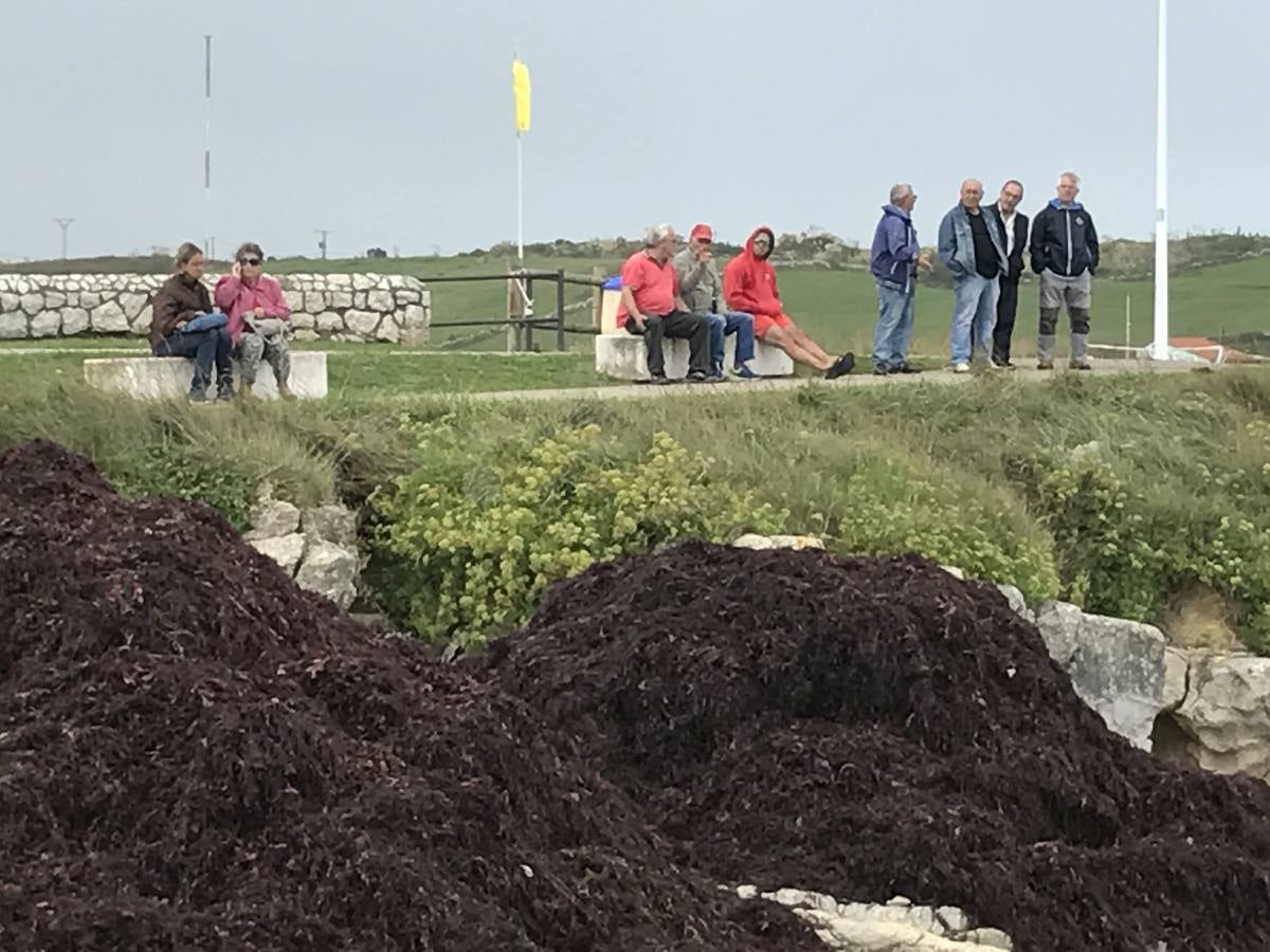 La caloca inunda la costa