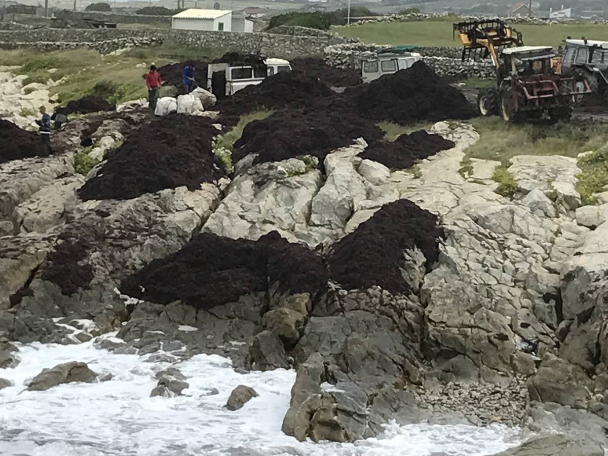 La caloca inunda la costa