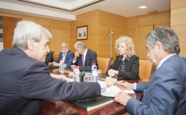 Eva Díaz Tezanos, durante el Consejo de Gobierno de este miércoles.