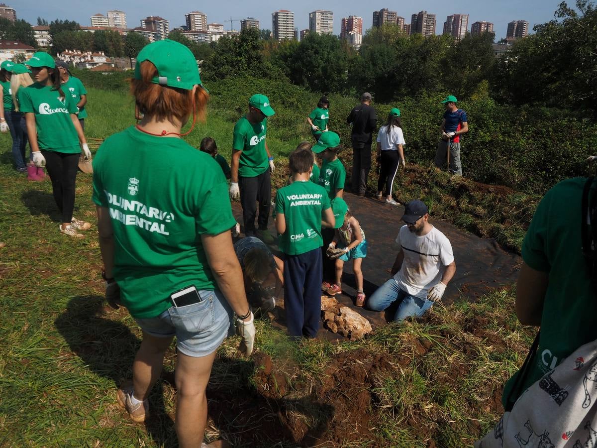 Construcción de un hogar para los anfíbios