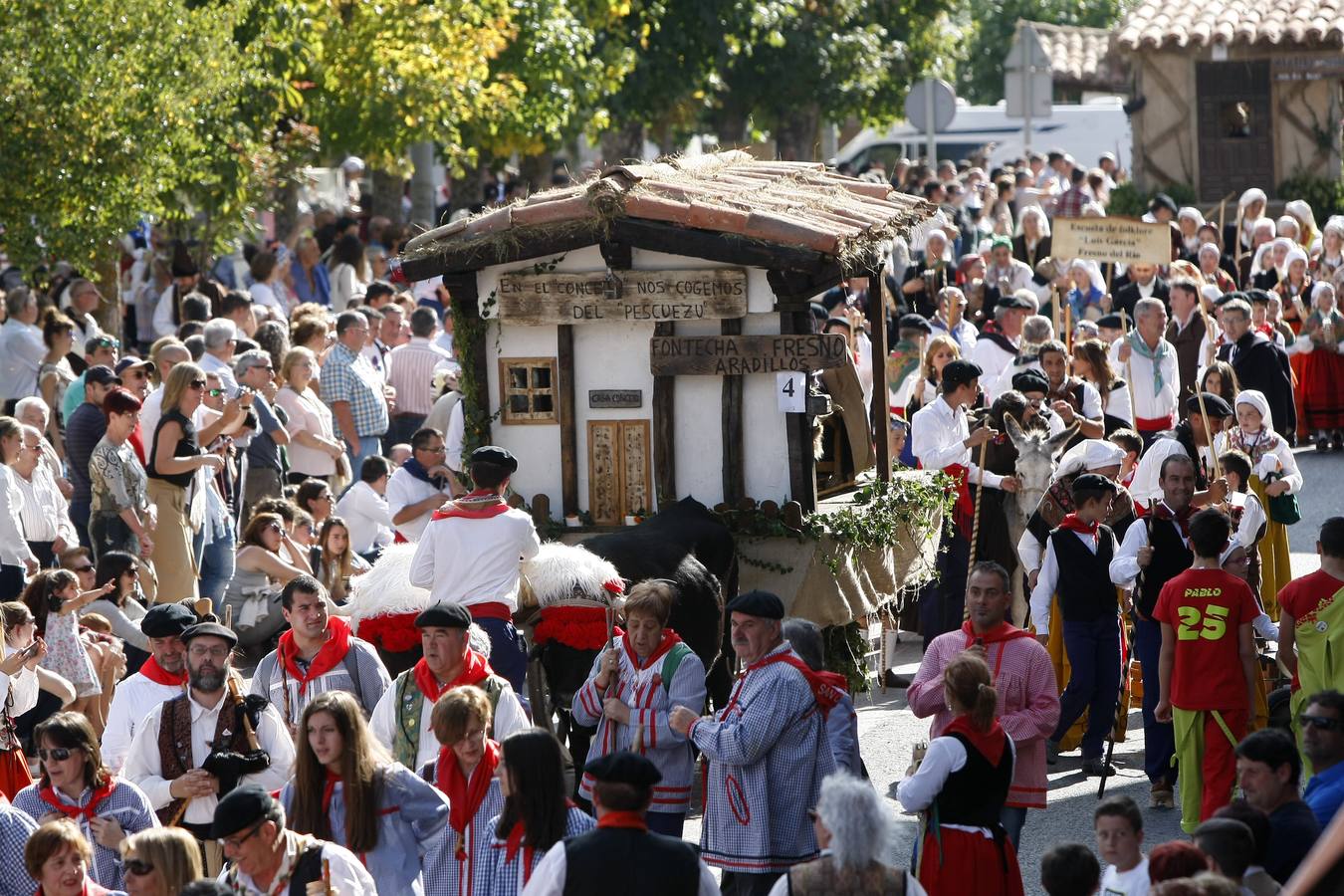 Búscate en las fotos si estuviste en el Día de Campoo