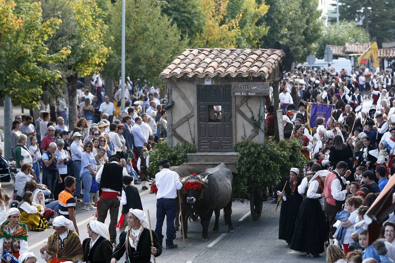 Búscate en las fotos si estuviste en el Día de Campoo