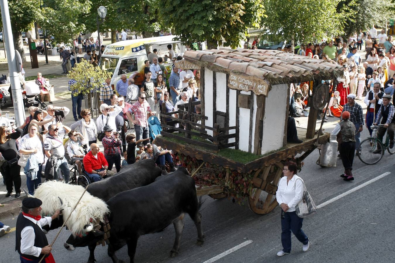 Búscate en las fotos si estuviste en el Día de Campoo