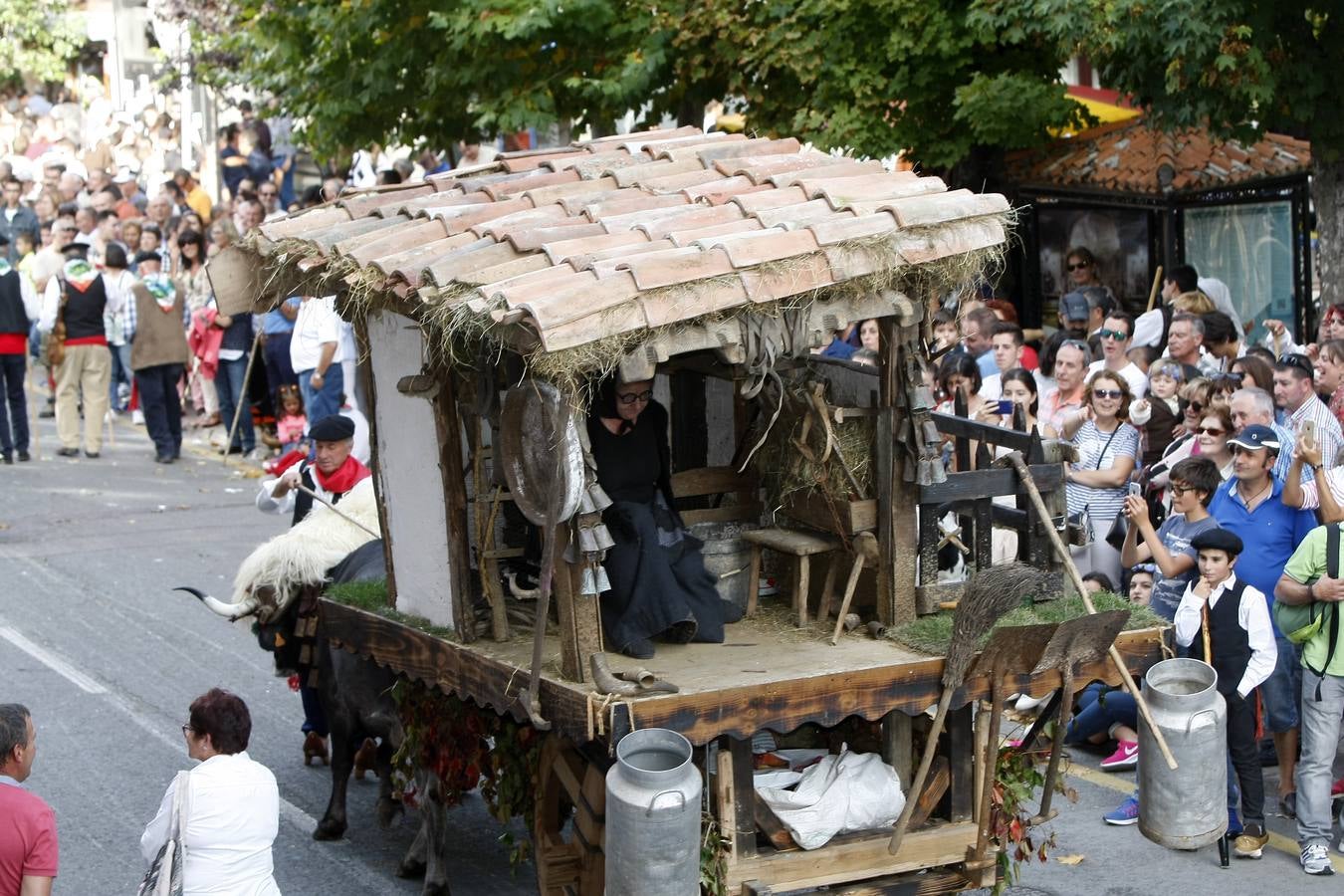 Búscate en las fotos si estuviste en el Día de Campoo