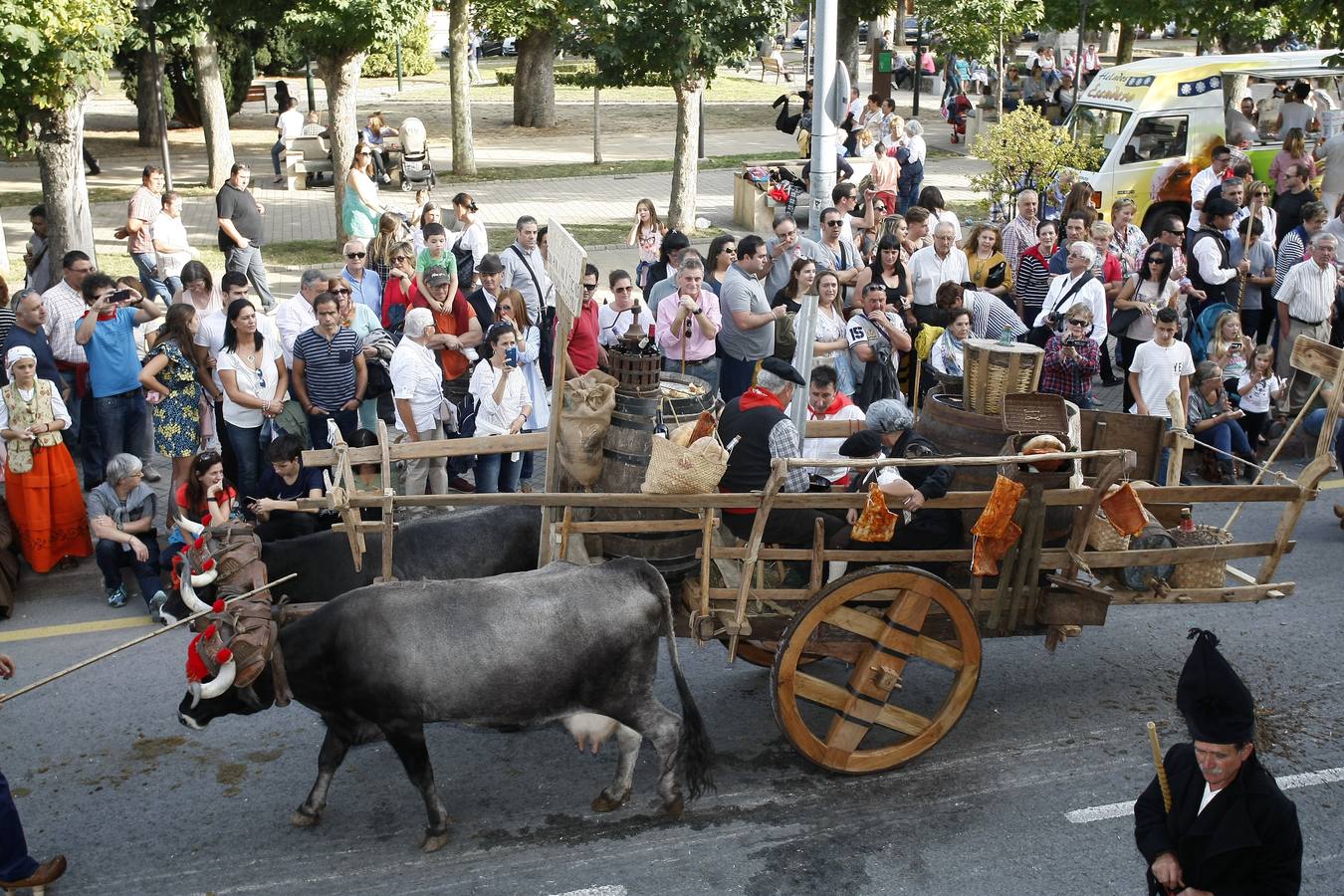 Búscate en las fotos si estuviste en el Día de Campoo