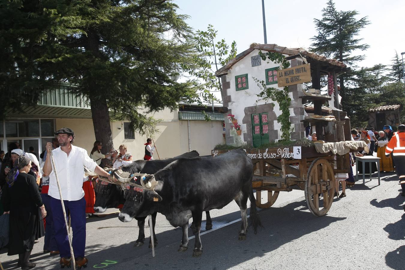 Búscate en las fotos si estuviste en el Día de Campoo