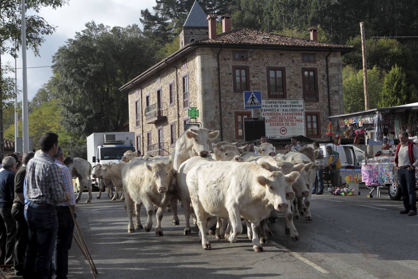 Valle (Cabuérniga). Imagen de una feria ganadera.