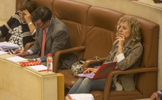 Eva Díaz Tezanos, hoy, en el pleno del Parlamento.