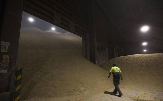 Los almacenes de la terminal agroalimentaria están llenos.