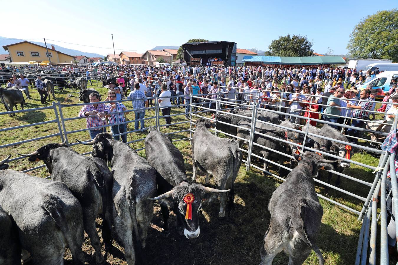 Olimpiada del Tudanco en Cabezón de la Sal