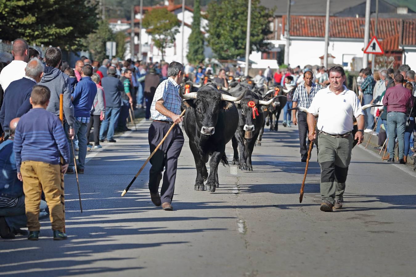 Olimpiada del Tudanco en Cabezón de la Sal