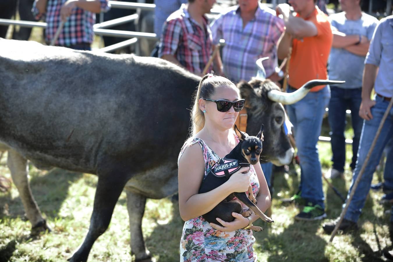 Olimpiada del Tudanco en Cabezón de la Sal