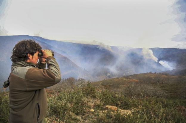 Un guarda forestal vigila el avance del fuego por un monte de la comunidad autónoma.