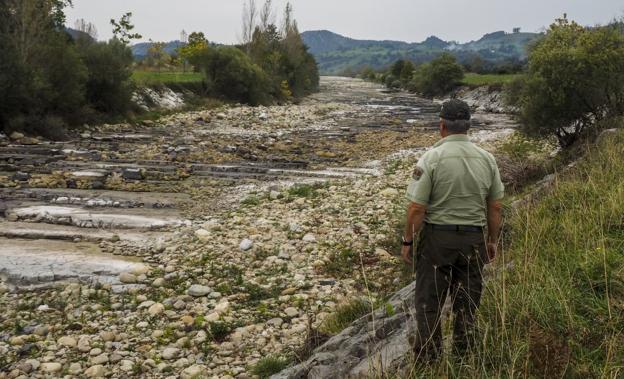 Un guarda observa el cauce del Pas. Desde Corvera hasta las piscinas de Ontaneda es una autopista de piedra. La imagen es de ayer mismo 