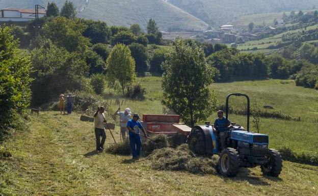 Inquietud en el campo ante las multas a vecinos por ayudar en tareas agrícolas