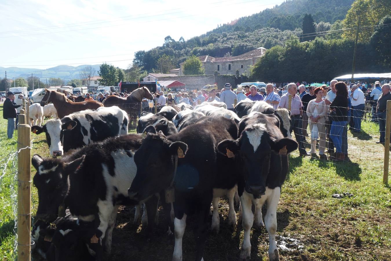 Más de 1.000 personas acuden a la tradicional cita ganadera y comercial que se celebra en Hoznayo