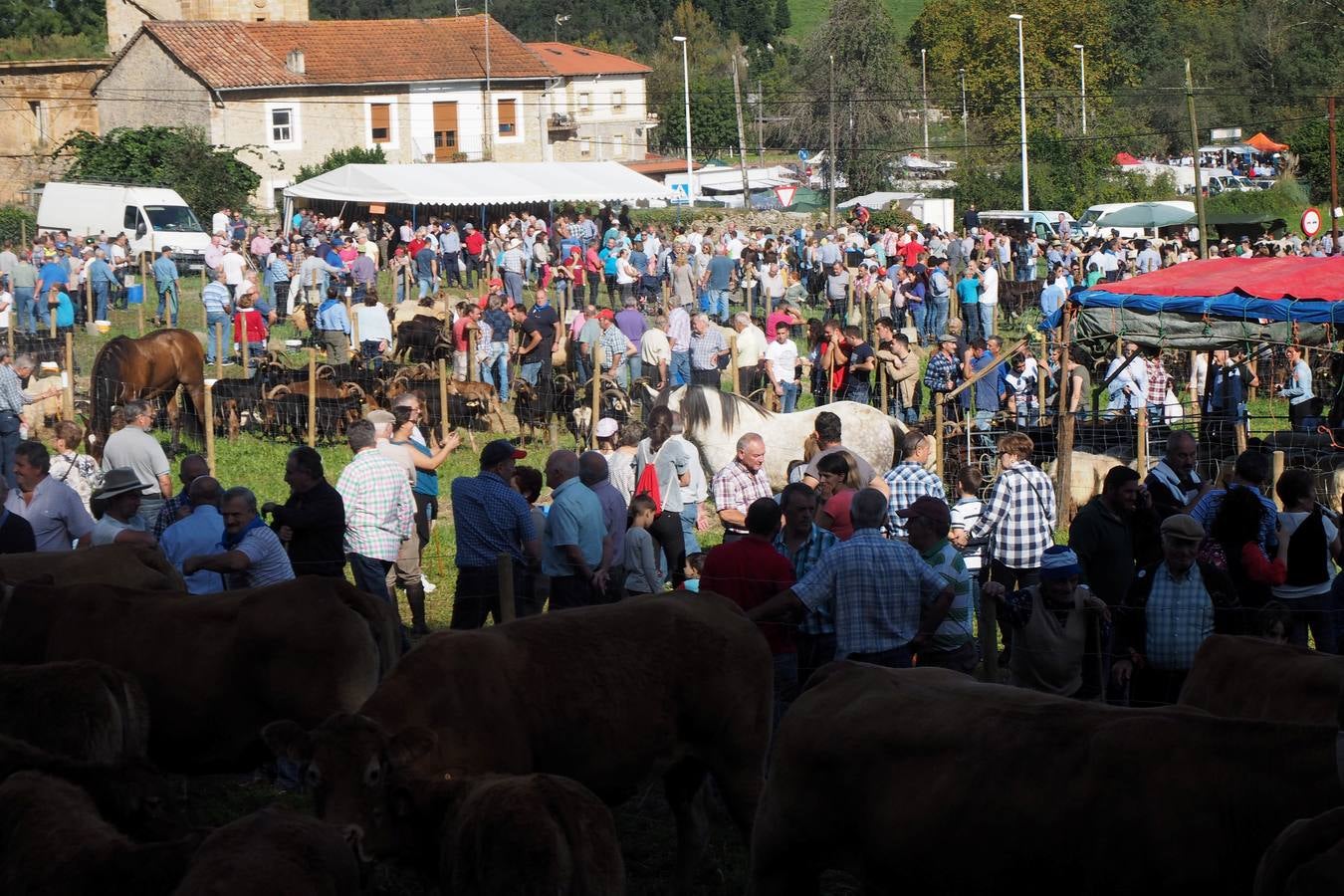 Más de 1.000 personas acuden a la tradicional cita ganadera y comercial que se celebra en Hoznayo