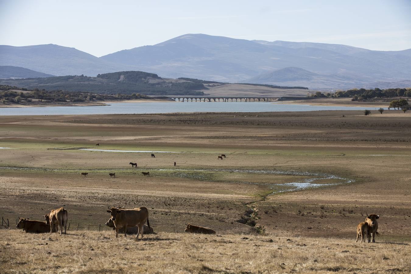 Imágenes de un paisaje desolador