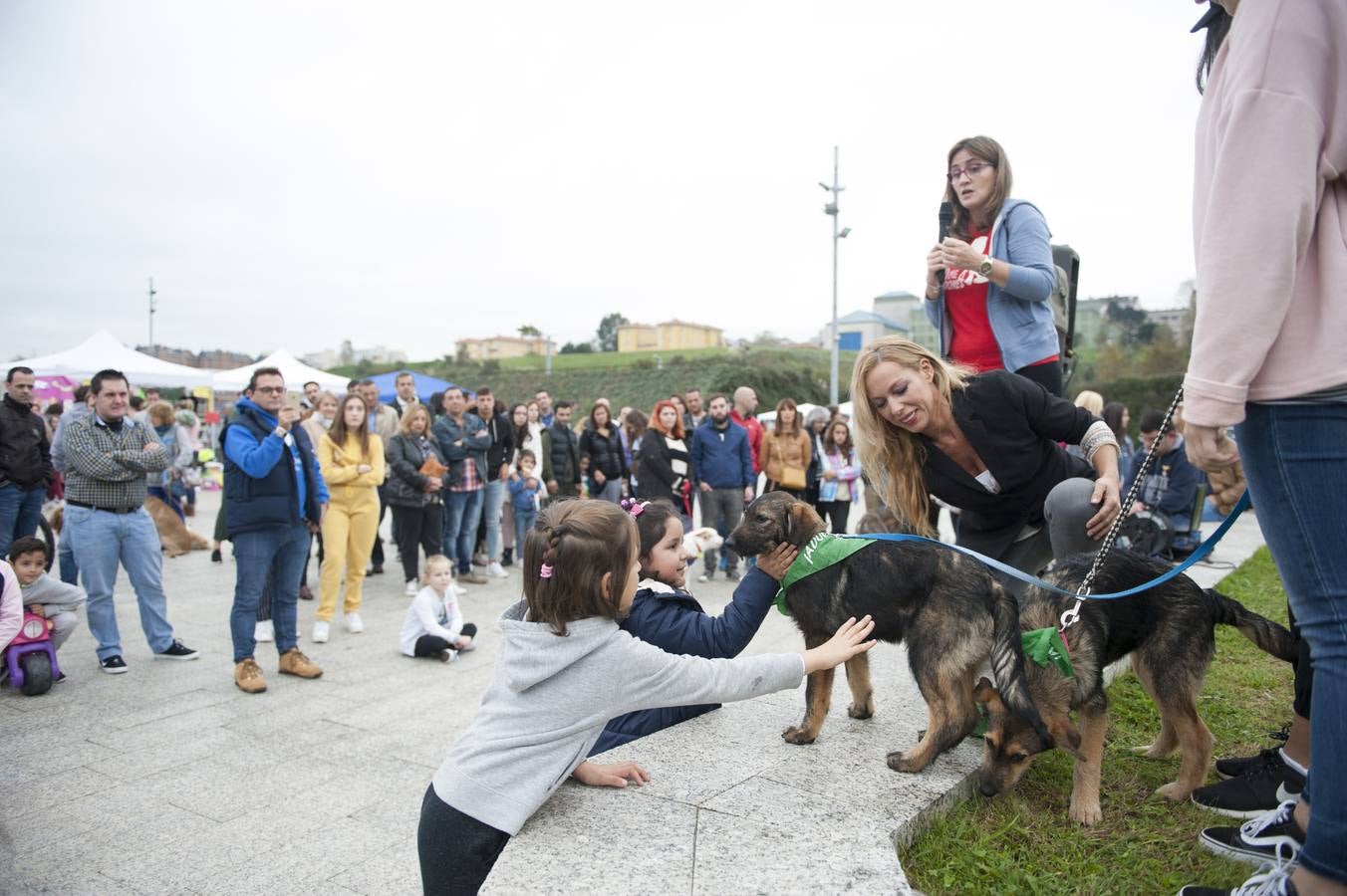 Un centenar de perros se reunieron este domingo en Las Llamas con motivo de la III Feria de Animales