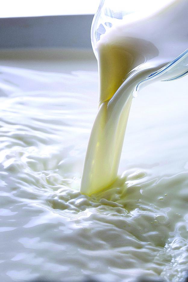 Leche fresca