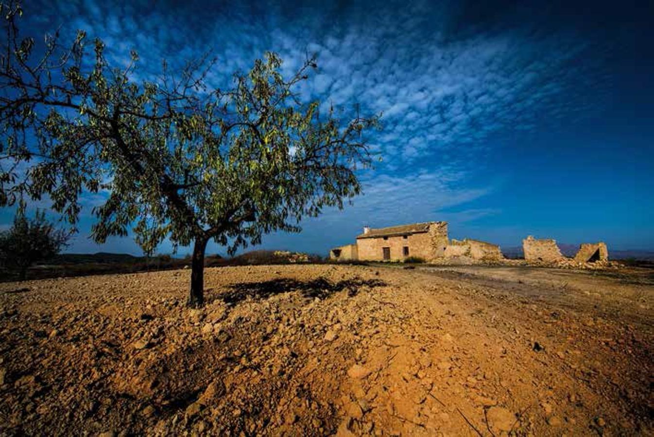 Campo de Cagitán, Mula