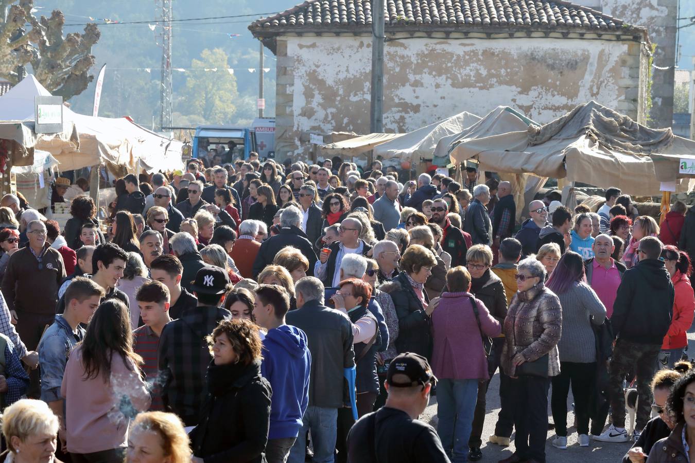 La XIII Feria de la Alubia y la Hortaliza quiere demostrar que esta legumbre se puede cocinar tanto en salado como en dulce