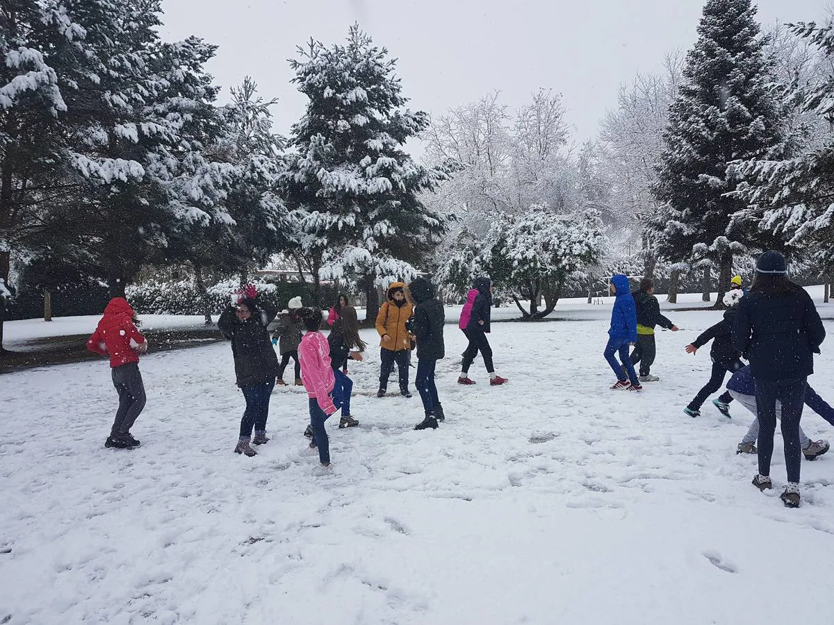 La primera gran nevada de la temporada cubre Cantabria