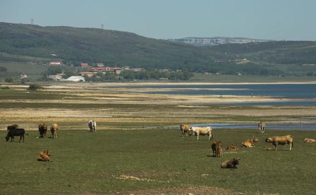 La sequía lleva meses afectado a Cantabria, especialmente en la zona sur.