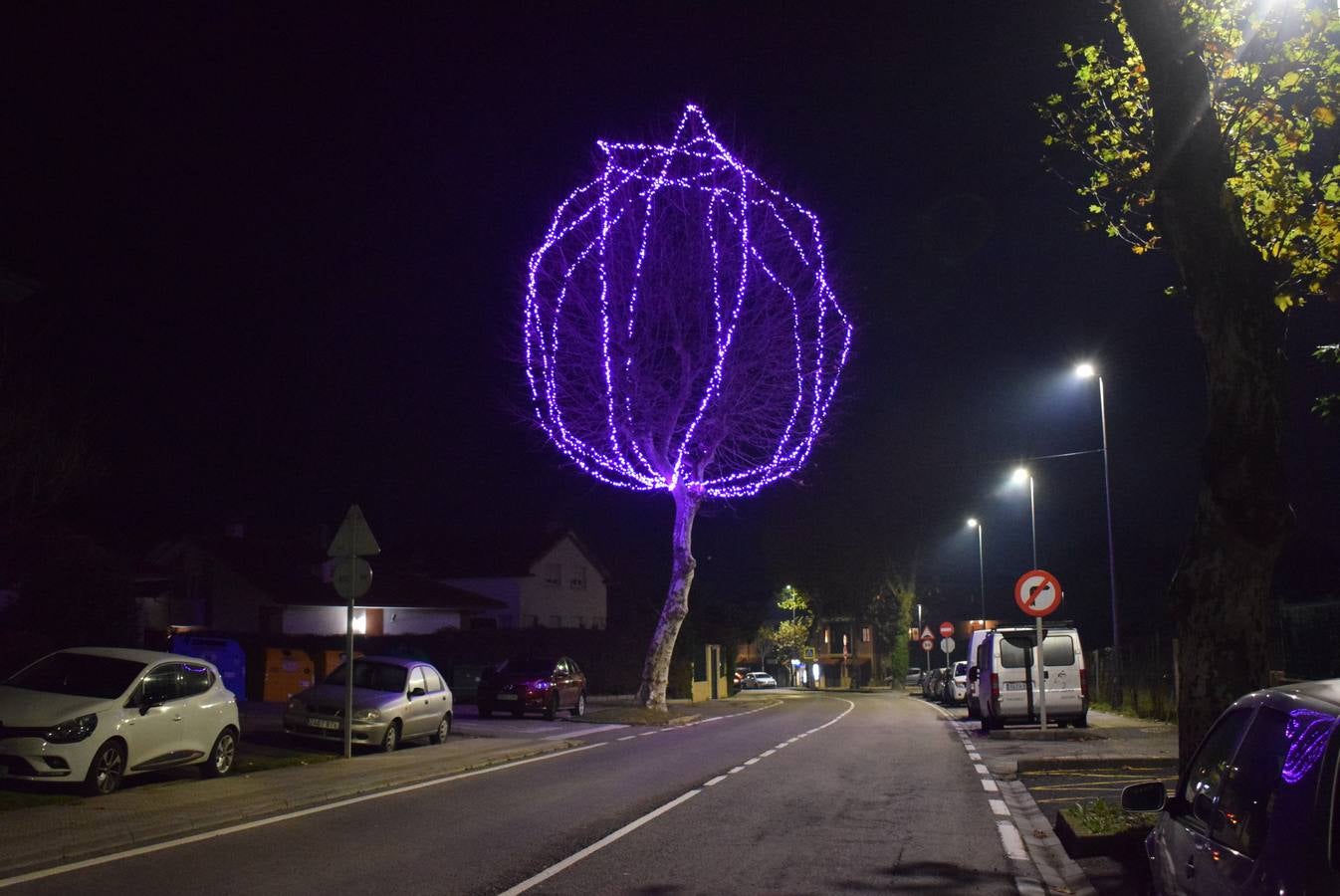 Imagen principal - Arriba, árbol alumbrado en Piélagos. Debajo, caracoles a la venta en el Mercado de la Esperanza de Santander y el árbol de Navidad de la Plaza del Ayuntamiento de Santander.