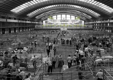 Imagen secundaria 1 - Exposiciones, karting y drones en el Mercado de Ganados de Torrelavega