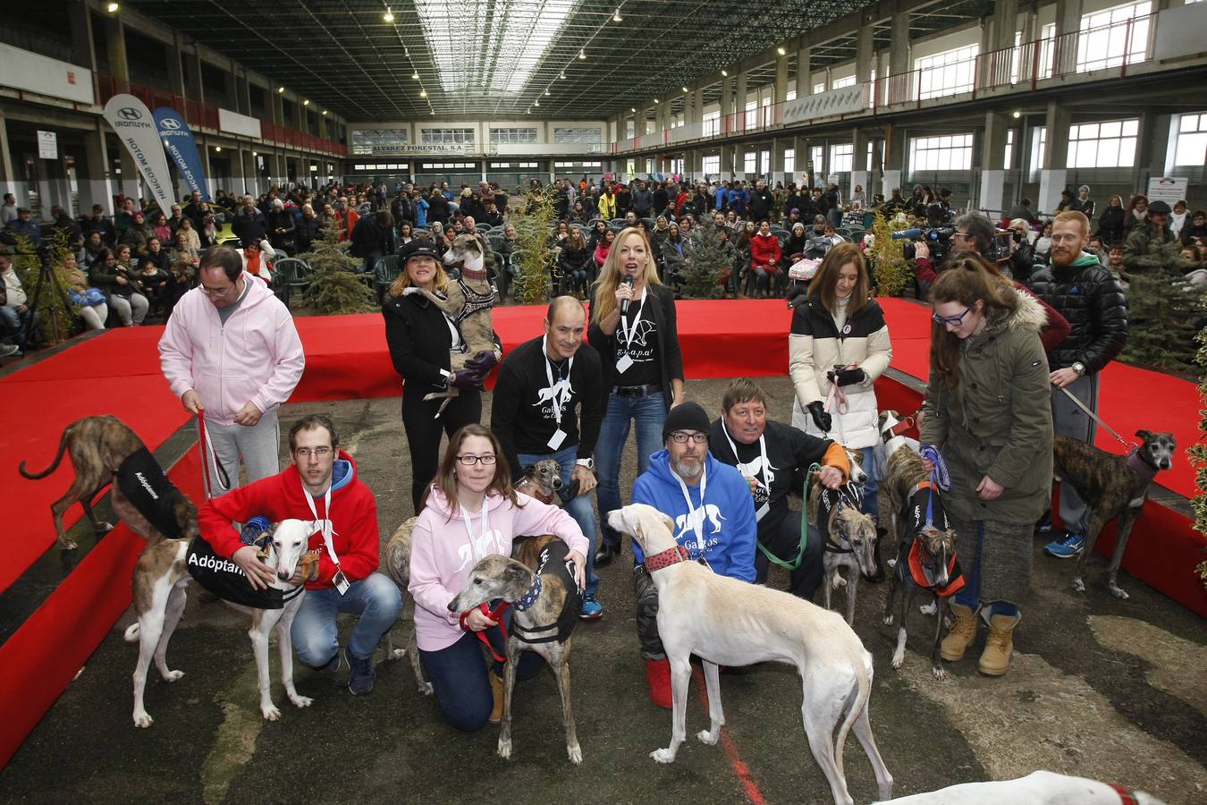 Unos 200 animales, entre ellos perros y gatos, se han reunido este sábado en la segunda Feria de Adopción Ciudad de Torrelavega para fomentar la adopción