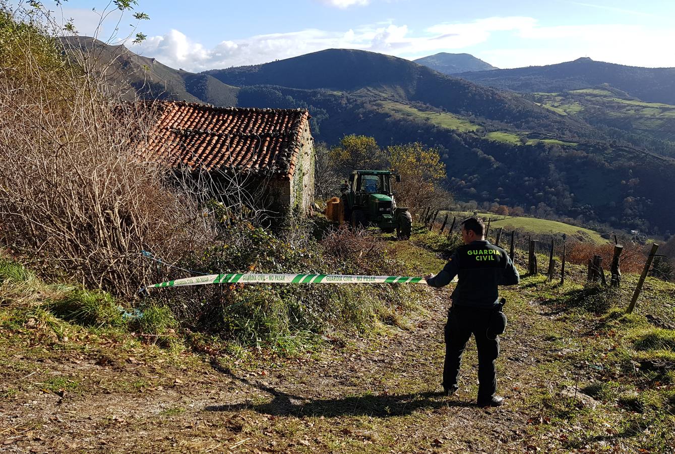 Aparecen muertos 11 terneros del ganadero de Bielva que perdió 23 tudancas en un incendio