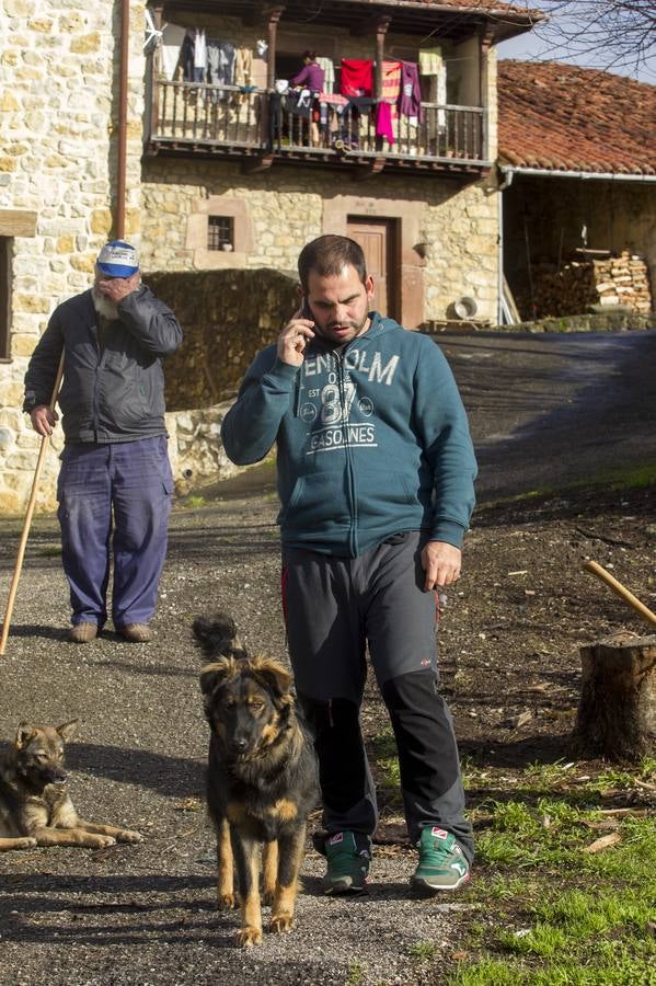 Las incógnitas de las reses asesinadas en Bielva