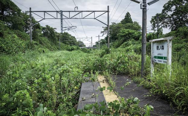 La naturaleza se abre paso en Futaba.