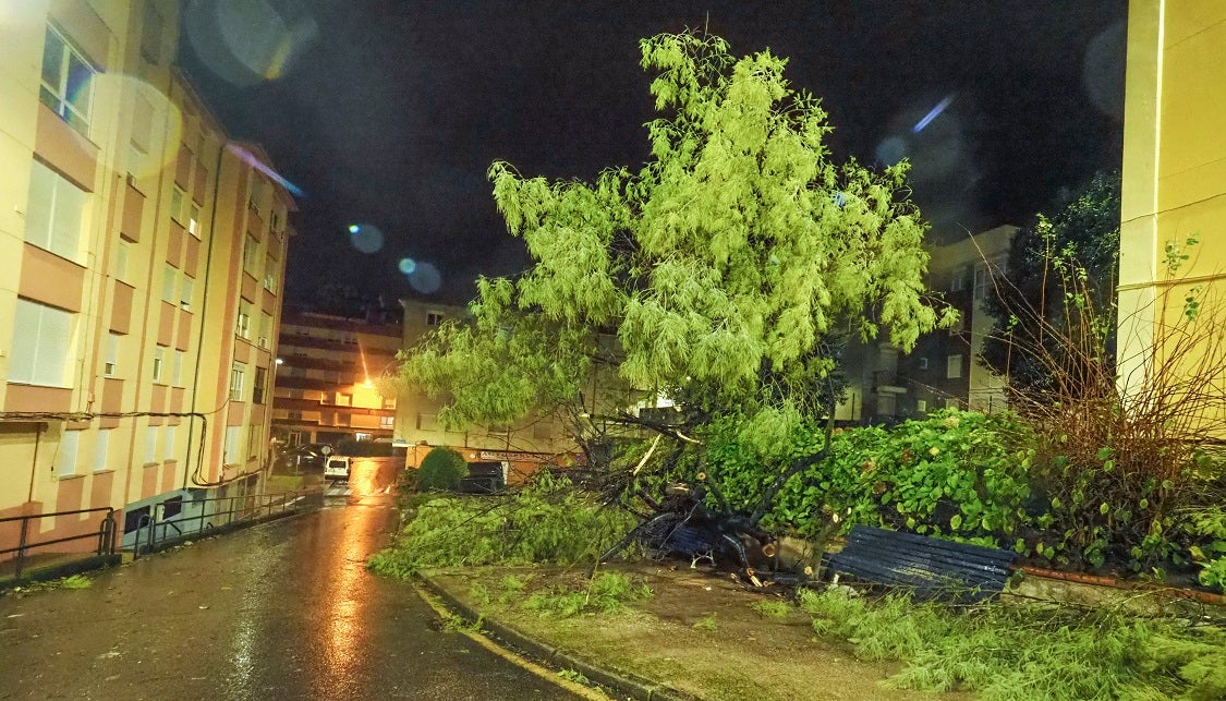 Un reguero de incidencias por el temporal de viento &#039;Bruno&#039; en Cantabria