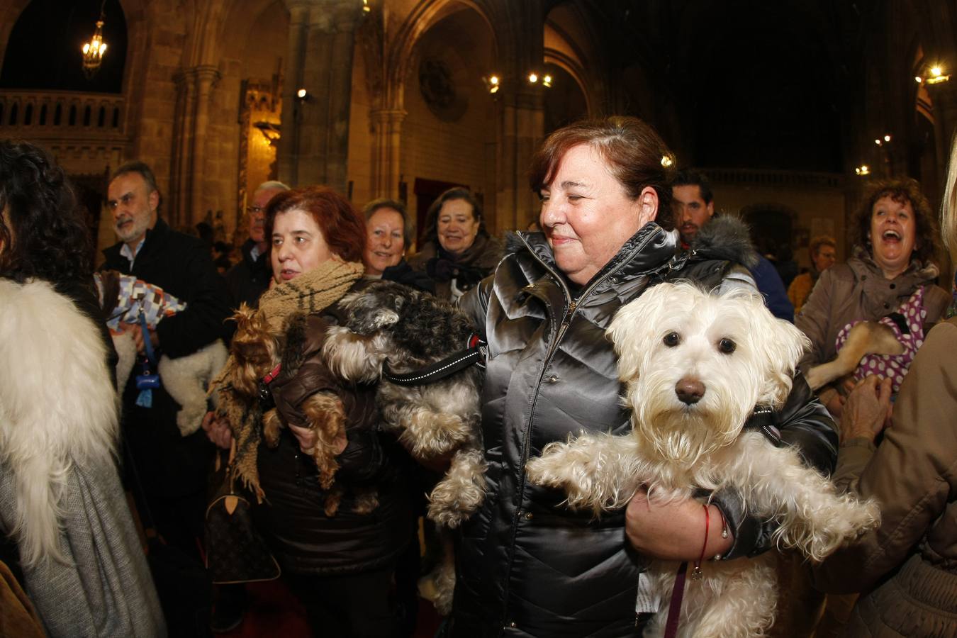 La bendición para las mascotas de Torrelavega el día de San Antón