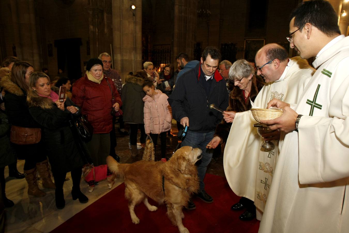 La bendición para las mascotas de Torrelavega el día de San Antón